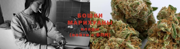 шишки Семилуки