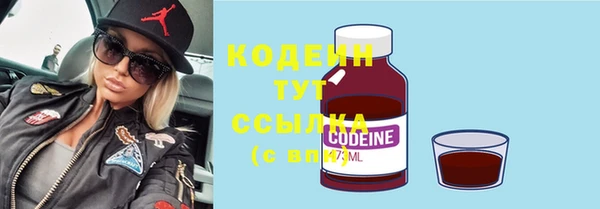 шишки Семилуки