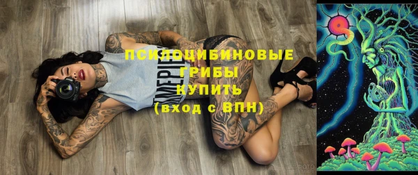 шишки Семилуки