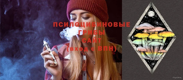 а пвп мука Ветлуга