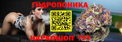 индика Балашиха