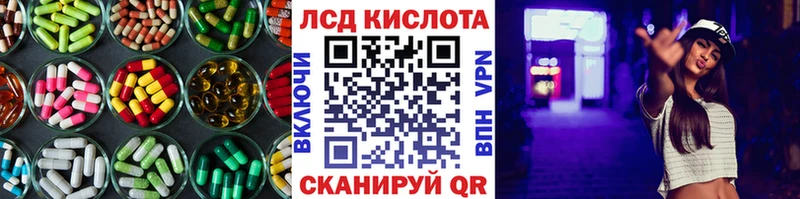 дарк нет телеграм  Богданович  LSD-25 экстази кислота  ОМГ ОМГ ТОР 