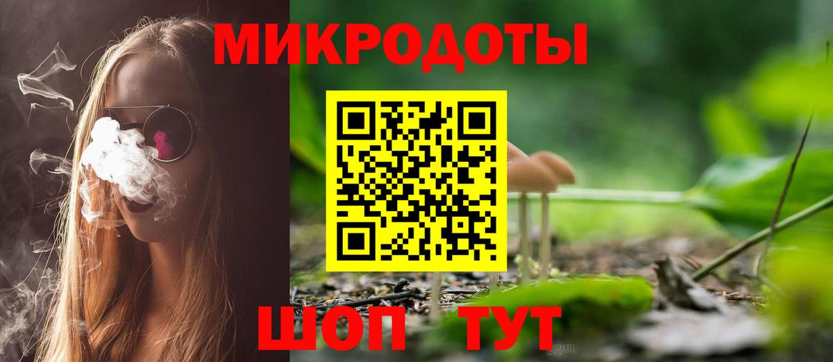 Галлюциногенные грибы Psilocybe  как найти наркотики  Вход с VPN  Богданович  Псилоцибиновые грибы прущие грибы 