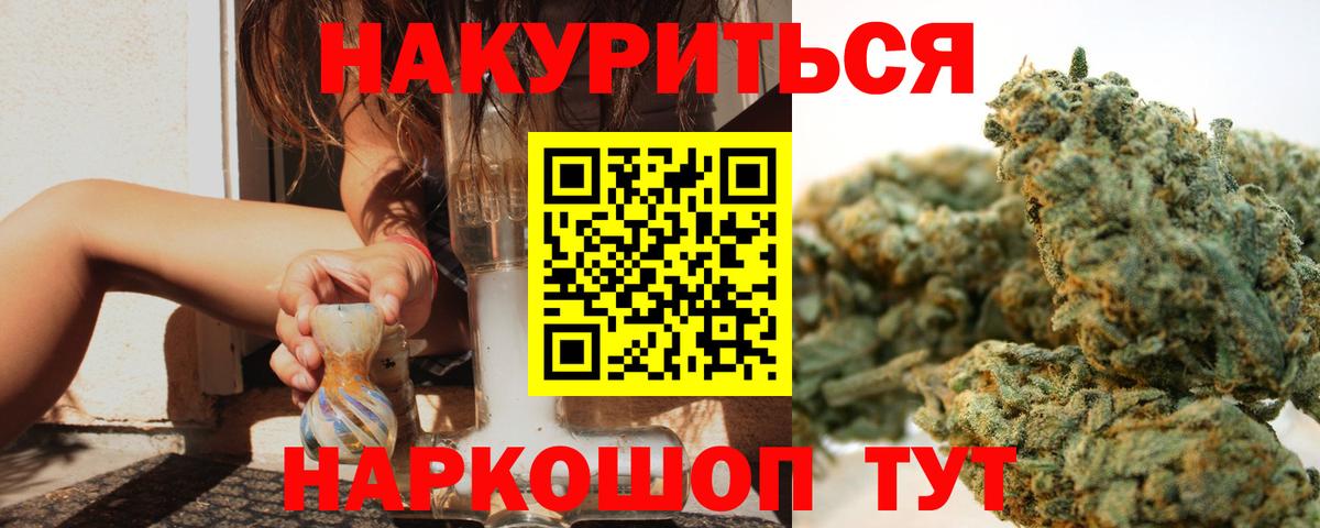 Марихуана планчик  Богданович  Бошки Шишки White Widow  Конопля семена 
